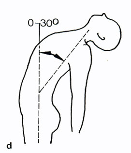 pokretljivost tela pri naginjanju u nazad u stepenima